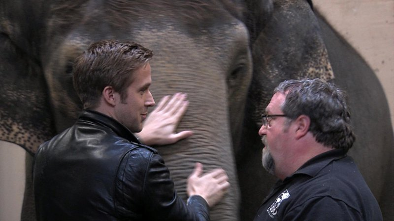 Illustration for article titled Ryan Gosling Plays With Adorable Animals In Continued Effort To Fuck With Us